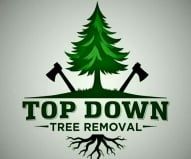 Top Down Tree Removal